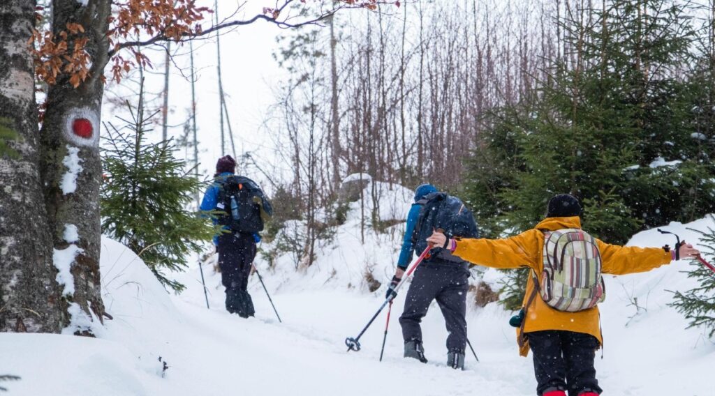 co to jest skitouring