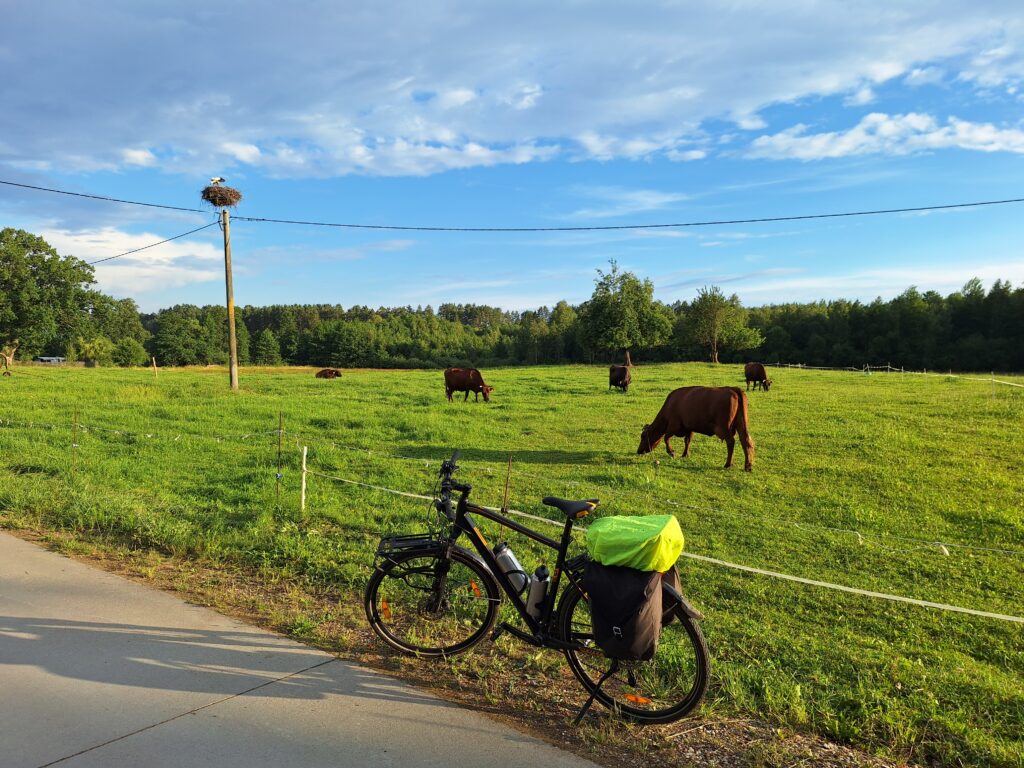 Suwalszczyzna na rowerze