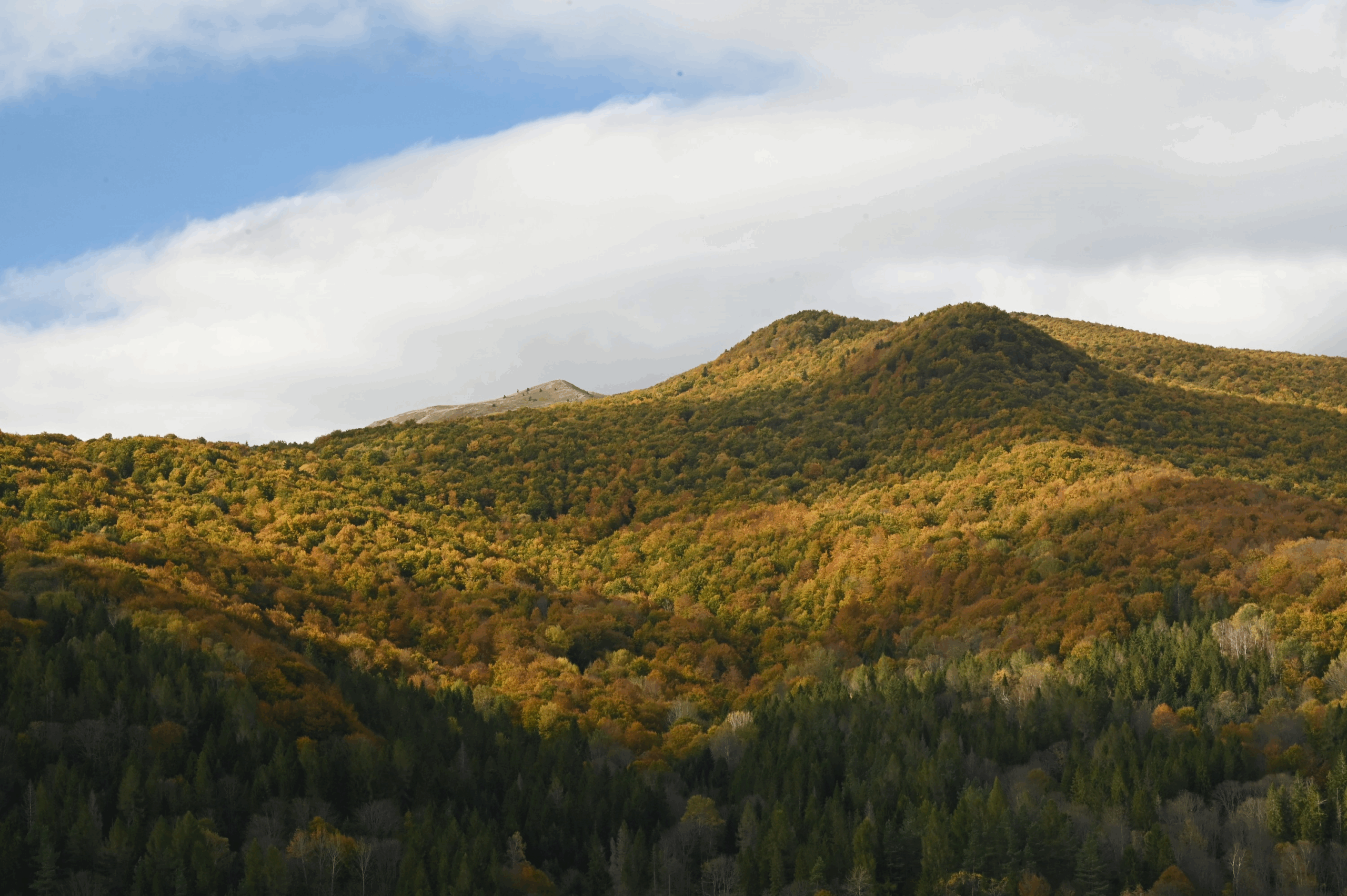Bieszczady jesienią