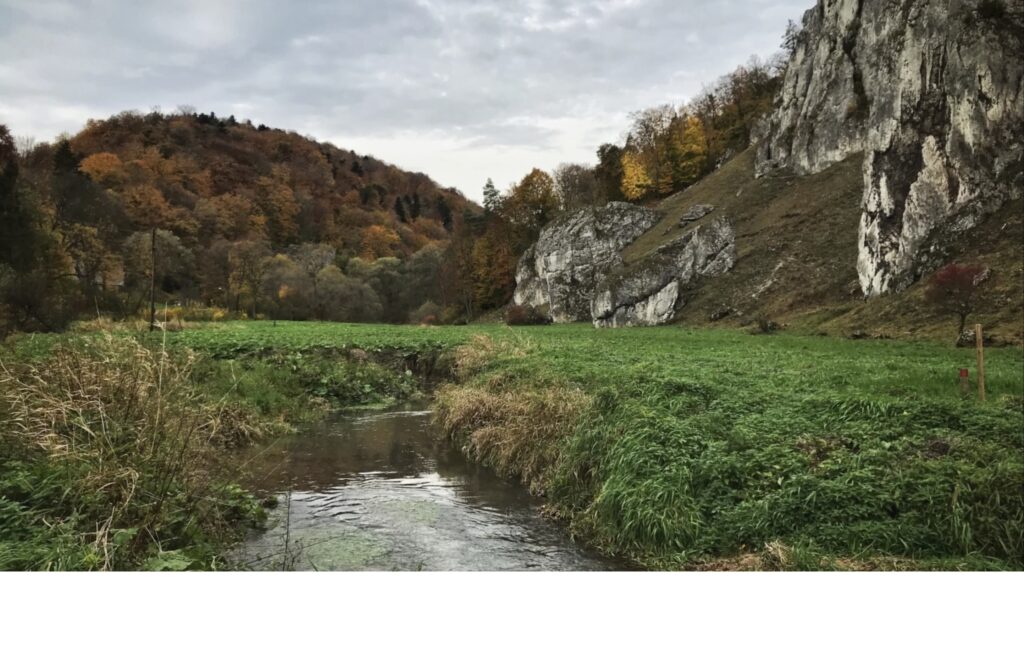 Dolina prądnika jesień